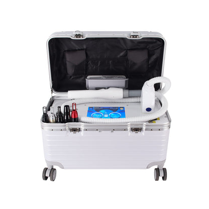 Portable Picosecond Laser System(L-P501) – Suitcase Design