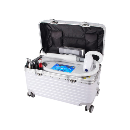 Portable Picosecond Laser System(L-P501) – Suitcase Design