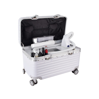 Portable Picosecond Laser System(L-P501) – Suitcase Design